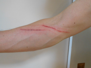 今週のトラオ「僕は悪くないもん！」