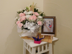 院長のつぶやき「命日」