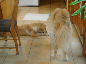 院長のつぶやき「変化！」