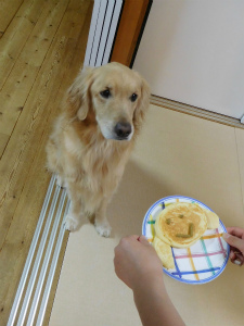 今月のアイビー「誕生日」