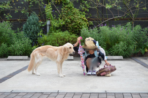 今週のローズ「最終回」
