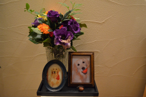 院長のつぶやき「命日」