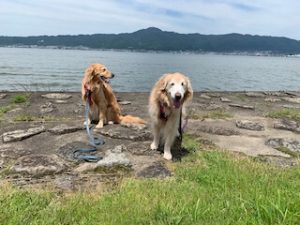 院長のつぶやき「今月のみんな6月・・・私も含めて」