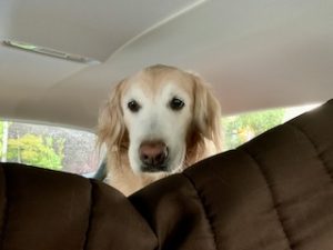 院長のつぶやき「今月のみんな7月・・・私も含めて」