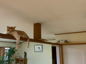 院長のつぶやき「最近のみんな・・・8月」