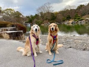 院長のつぶやき「今月のみんな1月・・・私も含めて」