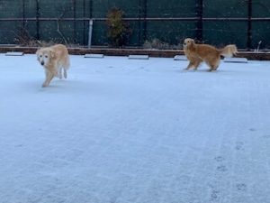 院長のつぶやき「今月のみんな2月・・・私も含めて」