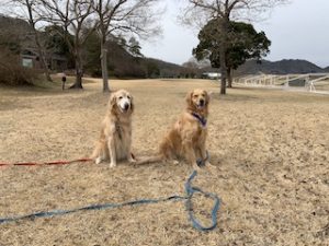 院長のつぶやき「今月のみんな２月・・・私も含めて」
