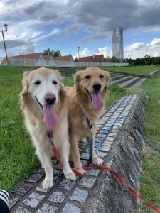 院長のつぶやき「今月のみんな８月・・・私も含めて」