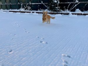 院長のつぶやき「今月のみんな1月・・・私も含めて」