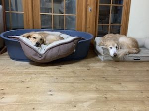 院長のつぶやき「今月のみんな２月・・・私も含めて」