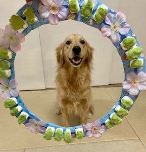 院長のつぶやき「今月のみんな４月・・・私も含めて」