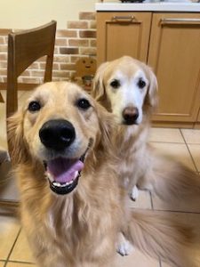 院長のつぶやき「今月のみんな８月・・・私も含めて」