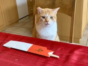 院長のつぶやき「今月のみんな1月・・・私も含めて」