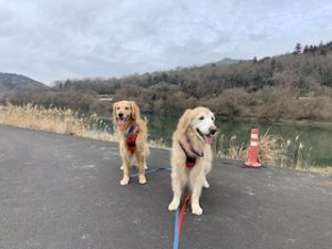 院長のつぶやき「今月のみんな２月・・・私も含めて」