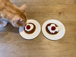 院長のつぶやき「今月のみんな5月・・・私も含めて」