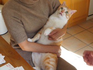 今週のトラオ「新年早々・・・」