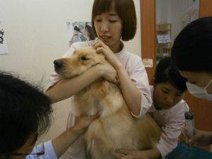 今週のアイビー「初仕事」