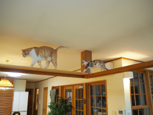 今週のミケりん「やっちゃった・・・」