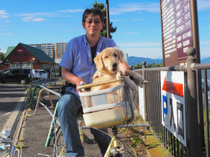 今週のアイビー「ドッグカフェ」