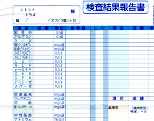 今週のトラオ「初仕事」