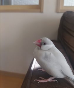 スタッフ日記（１９０）