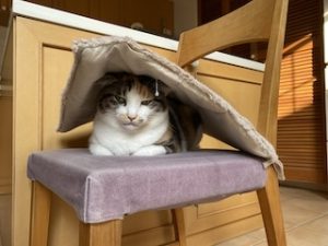 院長のつぶやき「今月のみんな2月・・・私も含めて」