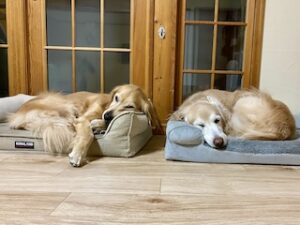 院長のつぶやき「今月のみんな3月・・・私も含めて」