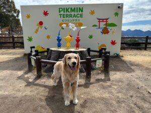 スタッフ日記（１９１）